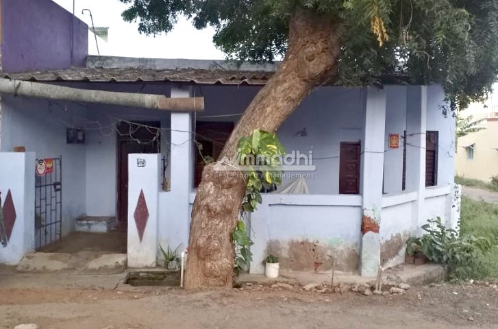 Nataraj Theatre