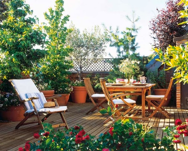TERRACE GARDENING