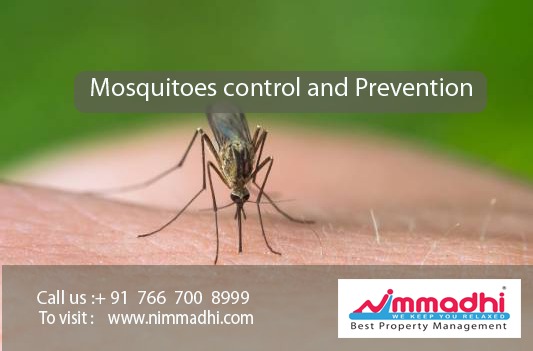 Mosquitoes control and Prevention