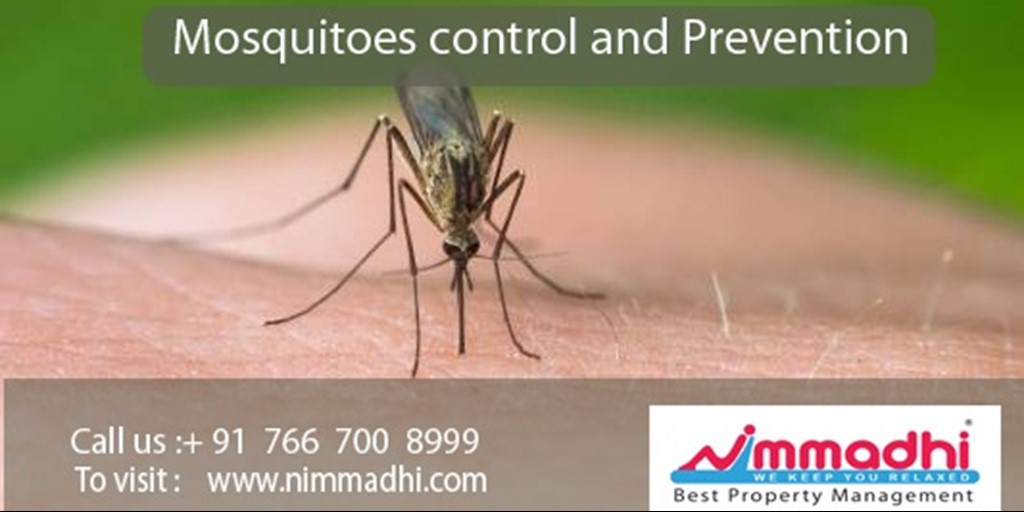 Mosquitoes control and Prevention
