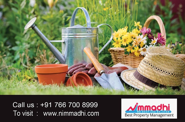 How to Develop a Kitchen Garden