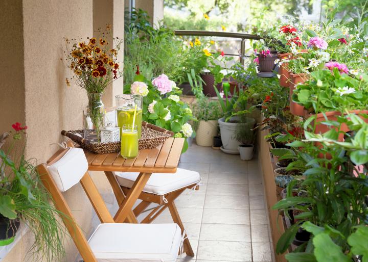 Balcony Garden Ideas: