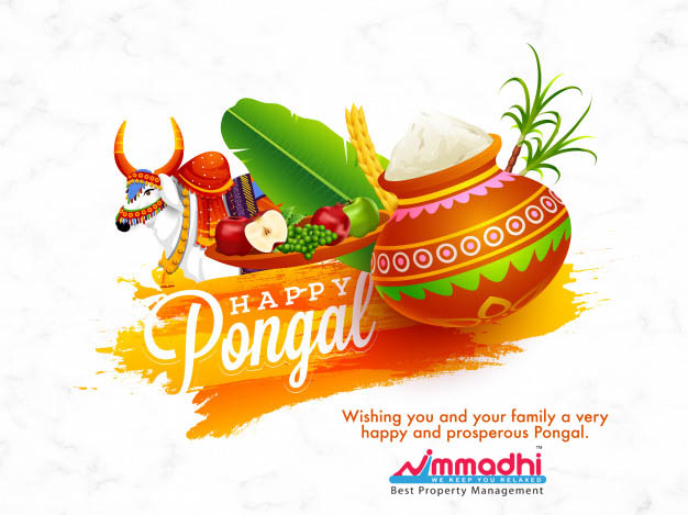 Tamil Way Pongal Celebrations