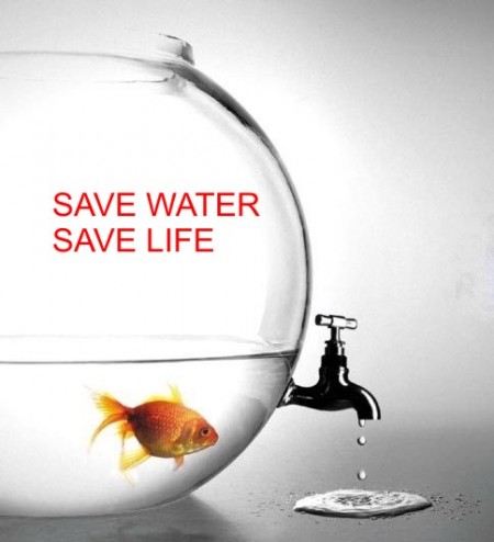 Surviving Summer:Save Water And Money Too This Summer!