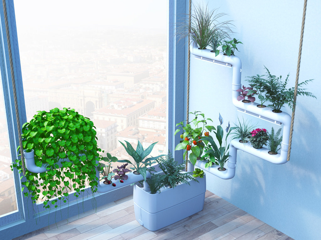 Indoor Plants That Can Purify the Air inside your House