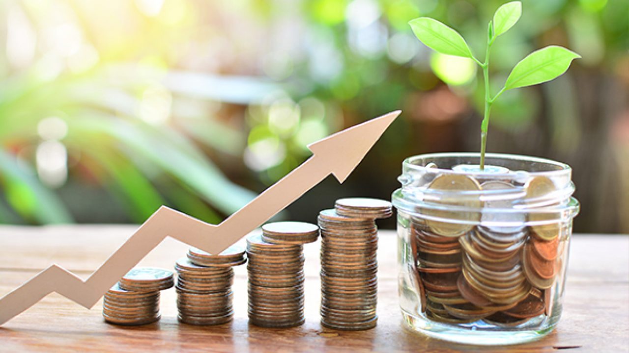 Best Investment Option To Increase Your Wealth