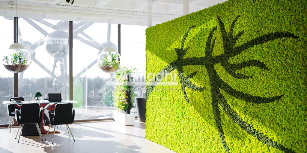 Guide To Living Green Walls