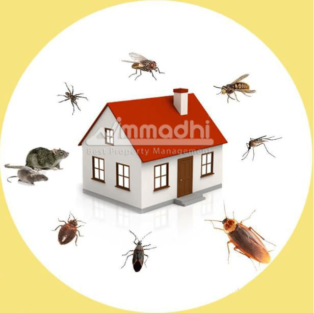 HOME PEST CONTROL