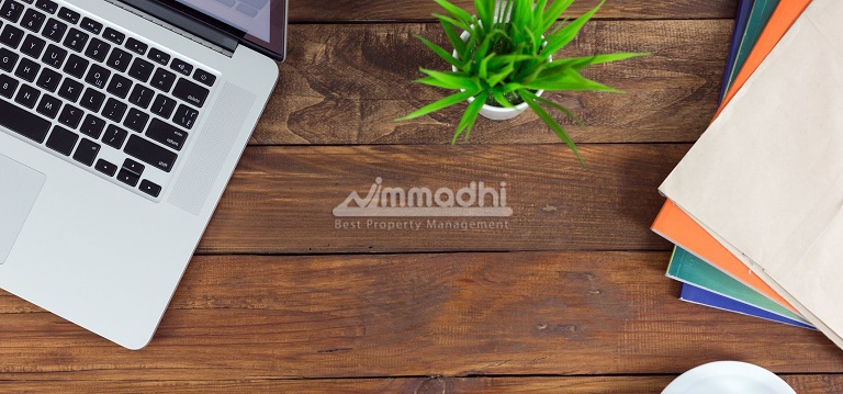 Best Plants For Your Desk At Work