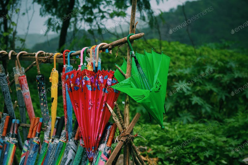 HEALTHY DIET FOR MONSOON SEASON