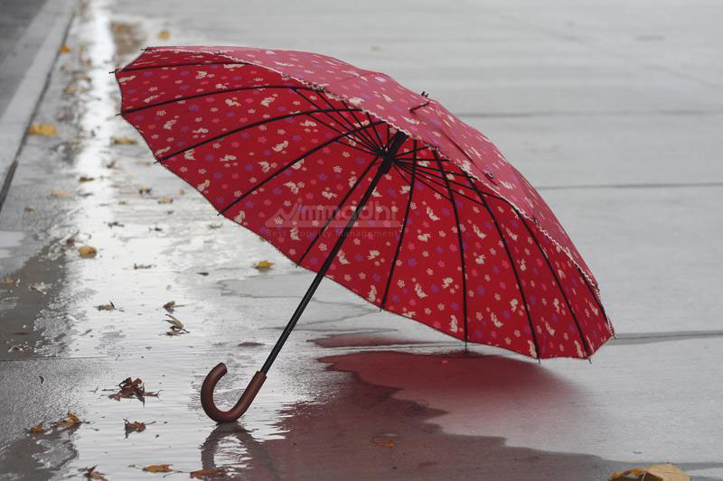 The Best Ways to Spend a Rainy Day