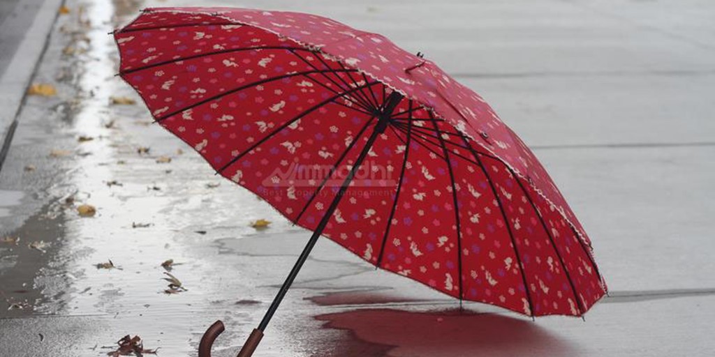 The Best Ways to Spend a Rainy Day